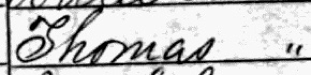 Census given name Thomas, with a looped capital T
