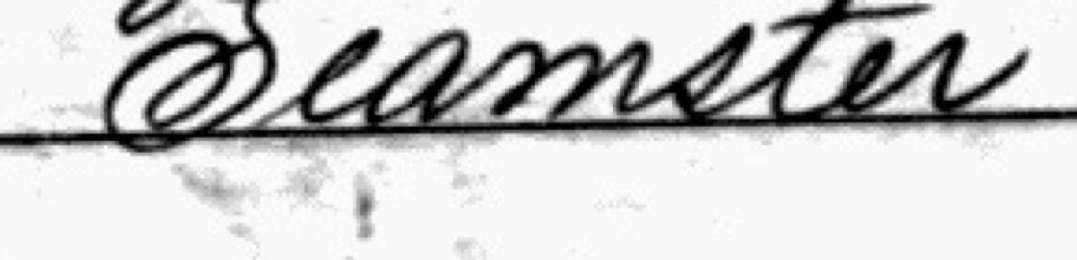 Census occupation beginning with a wavy capital that looks like an S