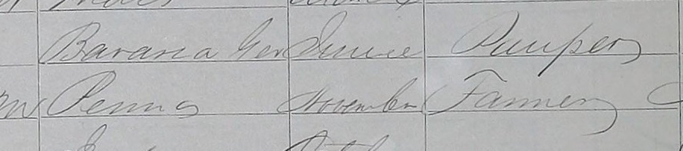 Two census rows: Bavaria Ger, June, Pauper; Penna, November, Farmer