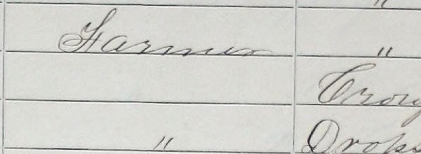 Occupation column with Farmer on one row and ditto marks two rows below