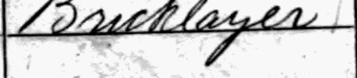 Census occupation Bricklayer