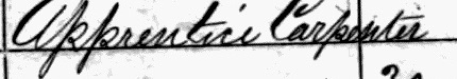 Census occupation of two words, the first ending in a letter that looks like an undotted i