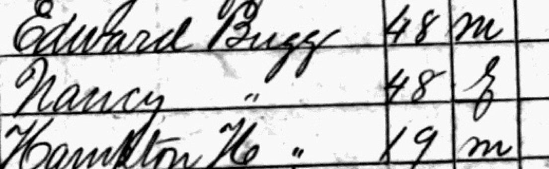 Three census lines with ages 48, 48 and 19