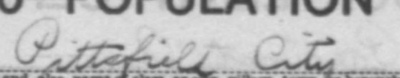 Handwritten place name below printed census heading