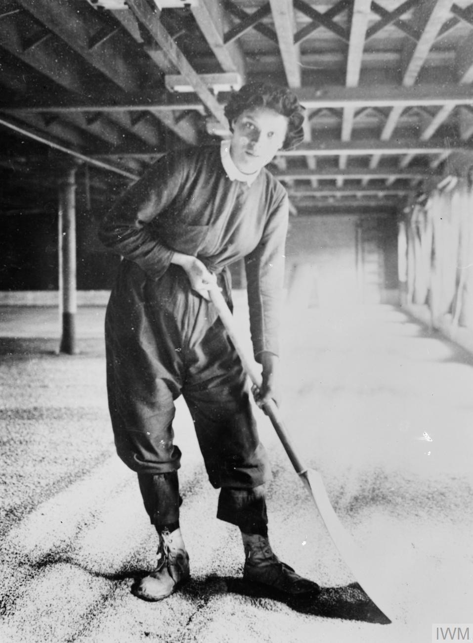 A woman in work overalls bends to turn a thin layer of grain with a long-handled shovel on a wide, low-ceilinged malting floor