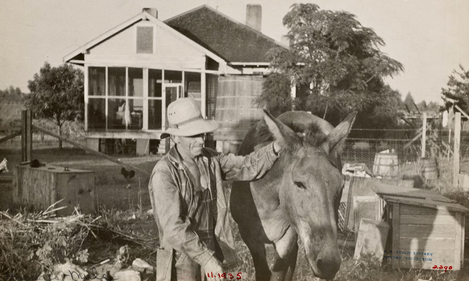 A smiling farmer in a sun helmet and work jacket stands with his hand on a mule's head in front of a screened farmhouse