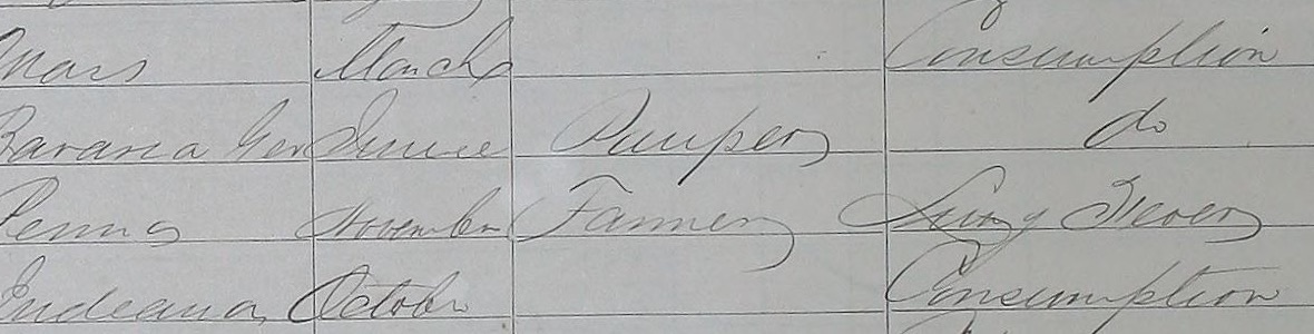 Daily Ancestor: learn to read old family records