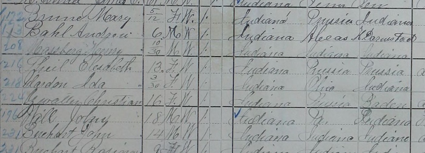 Eight lines of an 1880 mortality schedule with ages 5/12, 6, 10/30, 13, 3/30, 16, 18 and 14, then sex, color, a single mark and birthplaces.